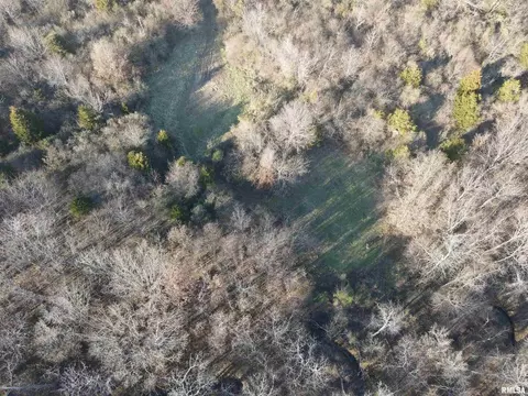 000 County 7 Hwy, Cisne, IL 62823 photo 11