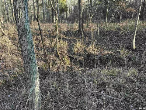 000 County 7 Hwy, Cisne, IL 62823 photo 45
