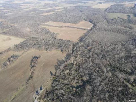 000 County 7 Hwy, Cisne, IL 62823 photo 6