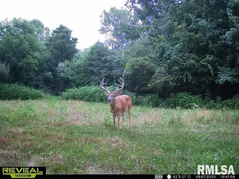 000 County 7 Hwy, Cisne, IL 62823 photo 64