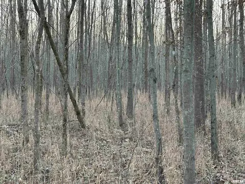 000 County 7 Hwy, Cisne, IL 62823 photo 34