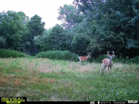 000 County 7 Hwy, Cisne, IL 62823 photo 55