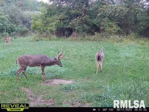 000 County 7 Hwy, Cisne, IL 62823 photo 65