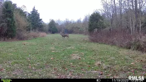 000 County 7 Hwy, Cisne, IL 62823 photo 60