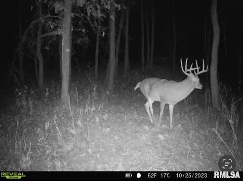 000 County 7 Hwy, Cisne, IL 62823 photo 48