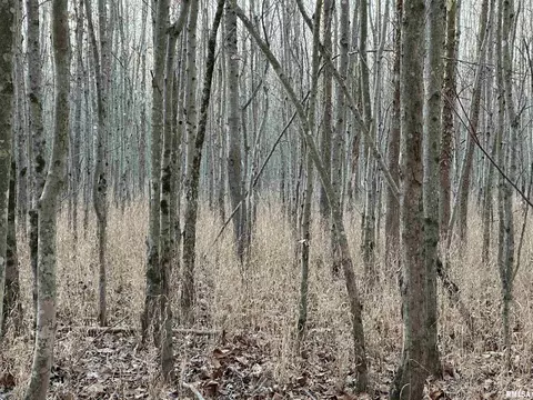 000 County 7 Hwy, Cisne, IL 62823 photo 38
