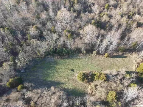 000 County 7 Hwy, Cisne, IL 62823 photo 9