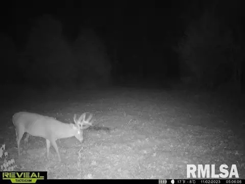 000 County 7 Hwy, Cisne, IL 62823 photo 58