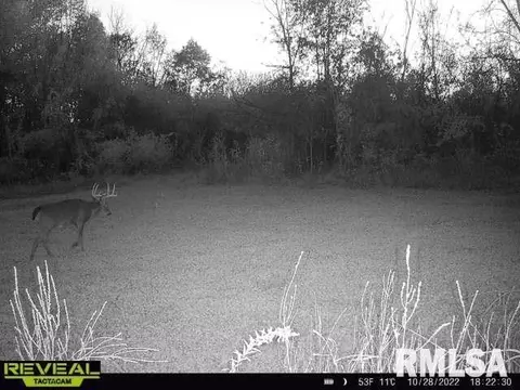 000 County 7 Hwy, Cisne, IL 62823 photo 71