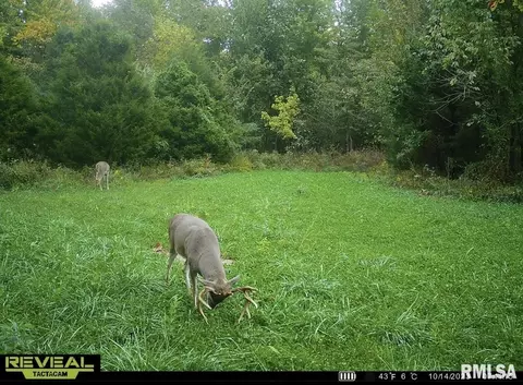 000 County 7 Hwy, Cisne, IL 62823 photo 66