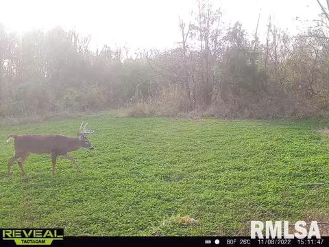 000 County 7 Hwy, Cisne, IL 62823 photo 69