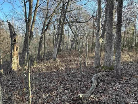 000 County 7 Hwy, Cisne, IL 62823 photo 22