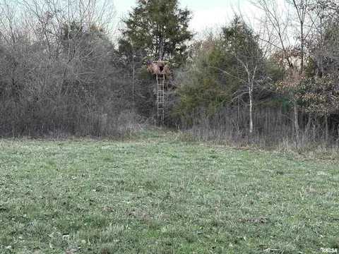 000 County 7 Hwy, Cisne, IL 62823 photo 17