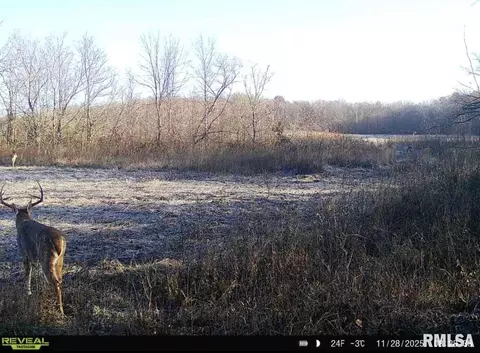 000 County 7 Hwy, Cisne, IL 62823 photo 73
