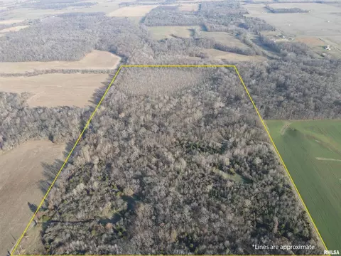 000 County 7 Hwy, Cisne, IL 62823 photo 2