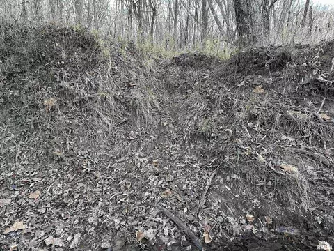 000 County 7 Hwy, Cisne, IL 62823 photo 31
