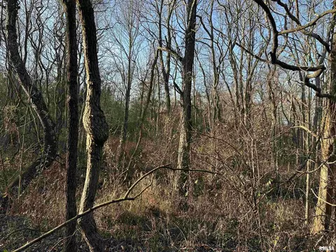 000 County 7 Hwy, Cisne, IL 62823 photo 46