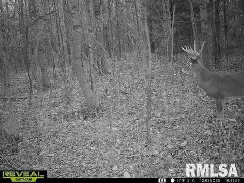 000 County 7 Hwy, Cisne, IL 62823 photo 54