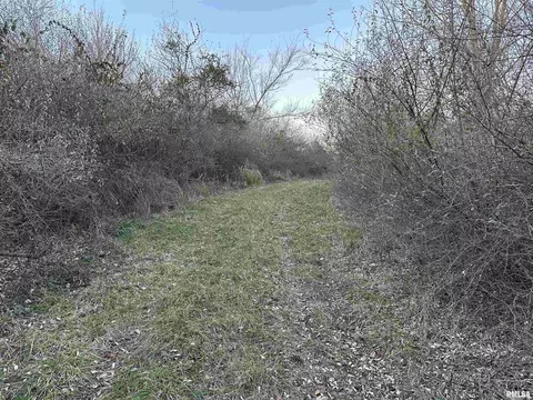 000 County 7 Hwy, Cisne, IL 62823 photo 19