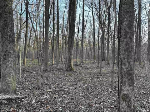 000 County 7 Hwy, Cisne, IL 62823 photo 37
