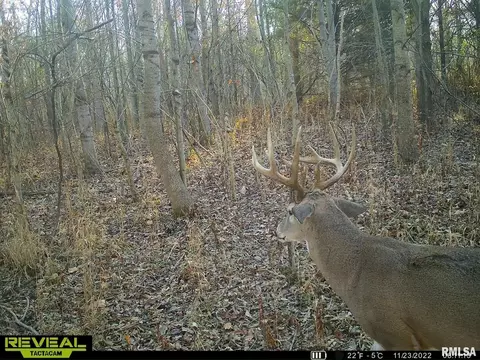 000 County 7 Hwy, Cisne, IL 62823 photo 52
