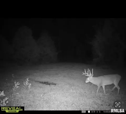 000 County 7 Hwy, Cisne, IL 62823 photo 51
