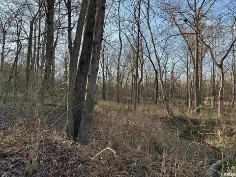 000 County 7 Hwy, Cisne, IL 62823 photo 47