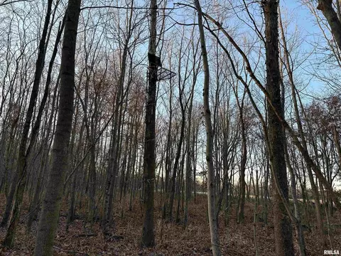 000 County 7 Hwy, Cisne, IL 62823 photo 40