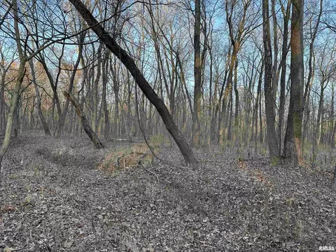 000 County 7 Hwy, Cisne, IL 62823 photo 39