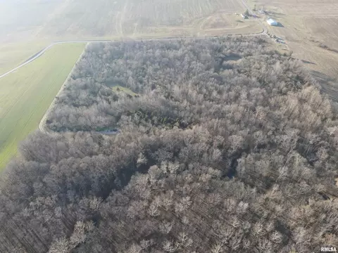 000 County 7 Hwy, Cisne, IL 62823 photo 4