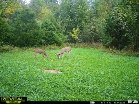 000 County 7 Hwy, Cisne, IL 62823 photo 61