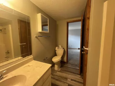 Bath - 314 E 8th St, Metropolis, IL 62960 photo 5 of 5