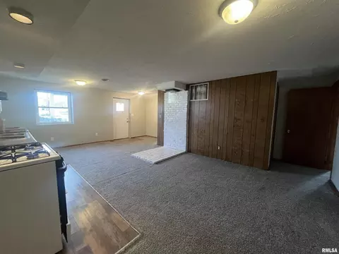 Living - 314 E 8th St, Metropolis, IL 62960 photo 6 of 7
