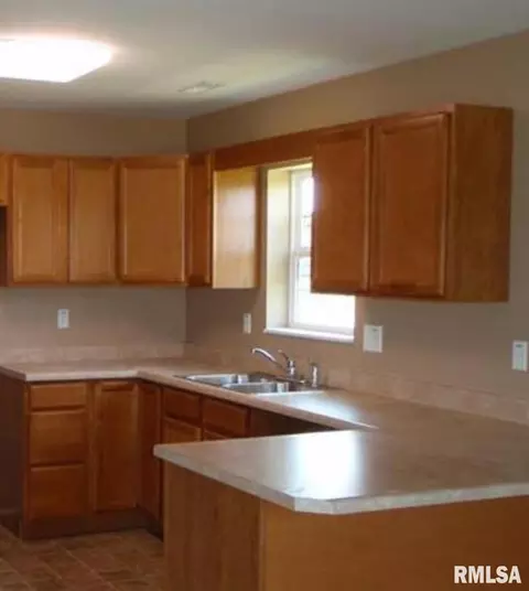 309 Moore Rd, Eldorado, IL 62930 photo 2