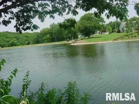 100 Rustic Lake Ct, Colona, IL 61241