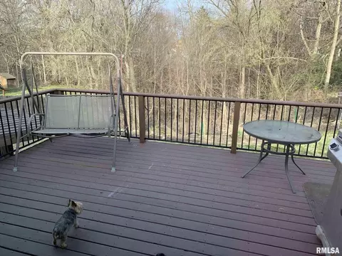 1532 1st St, Moline, IL 61265 photo 20