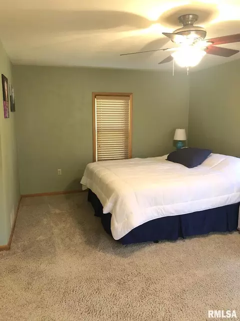 918 Terry Ave, Kewanee, IL 61443 photo 22