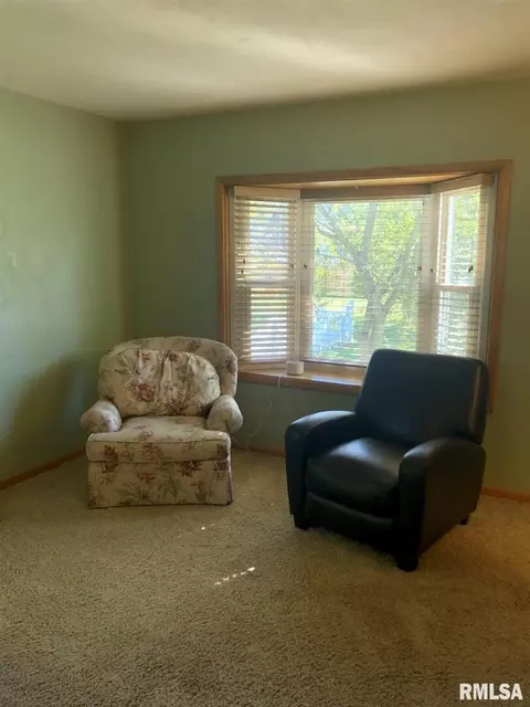 918 Terry Ave, Kewanee, IL 61443 photo 23