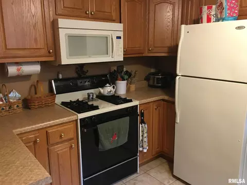 3781 Balk Rd, Fulton, IL 61252 photo 8