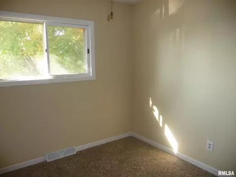 1003 4th St, Hampton, IL 61256 photo 9