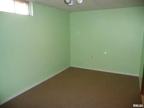 1003 4th St, Hampton, IL 61256 photo 13