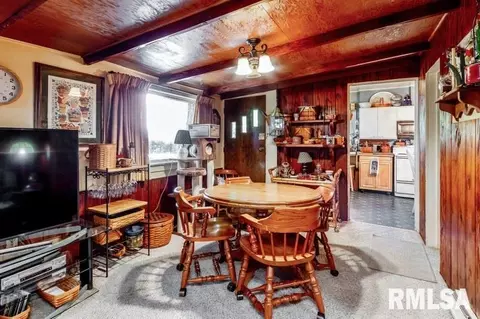 206 S 4th St, Alpha, IL 61413 photo 9