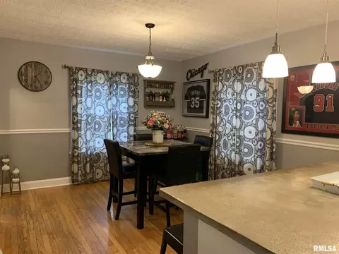 1114 Main St, Thomson, IL 61285 photo 5