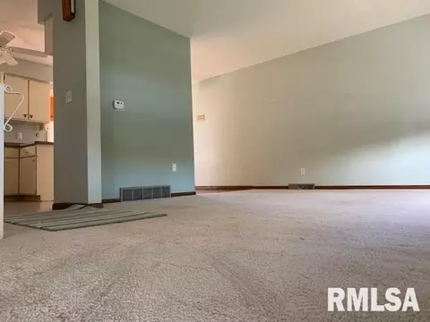 327 2nd Ave, Hampton, IL 61256 photo 4