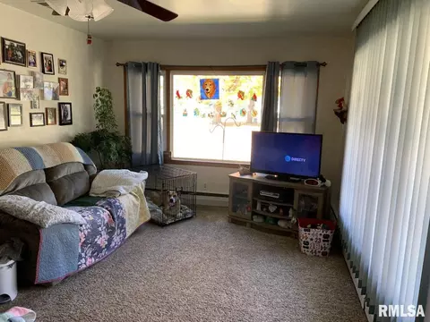 401 S Cottage St, Kewanee, IL 61443 photo 3