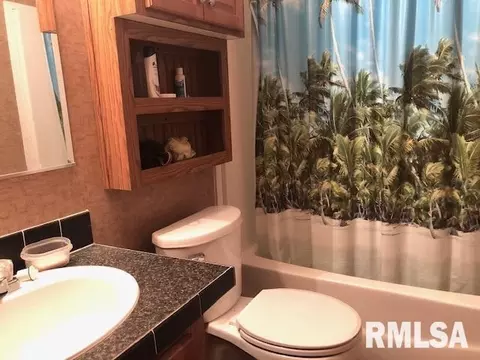 8754 Parkdon St, Christopher, IL 62822 photo 13