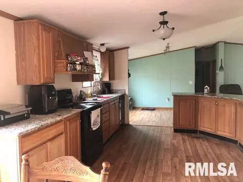 8754 Parkdon St, Christopher, IL 62822 photo 10