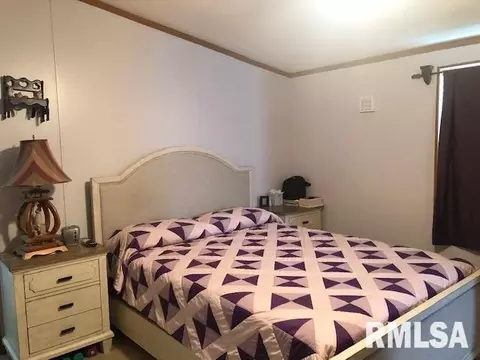 8754 Parkdon St, Christopher, IL 62822 photo 16