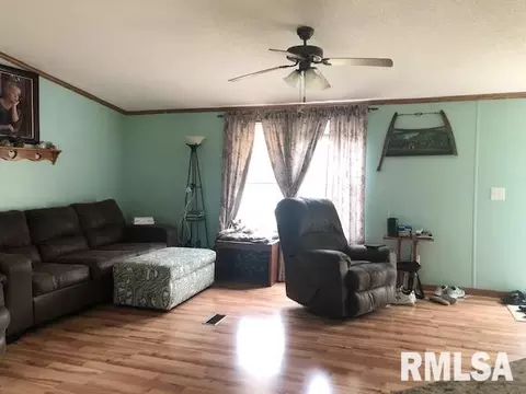 8754 Parkdon St, Christopher, IL 62822 photo 4