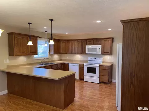 703 Legacy Dr, Herrin, IL 62948 photo 11